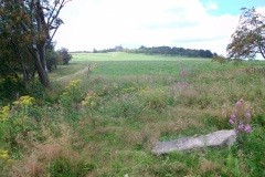 Voitsdorf